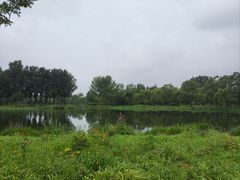 -东郊湿地公园