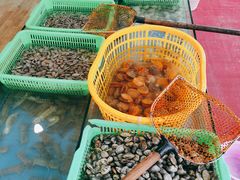 -七鲜渔港美食餐厅(巽寮湾海景店)
