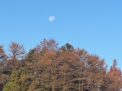-九华山风景区月身宝殿