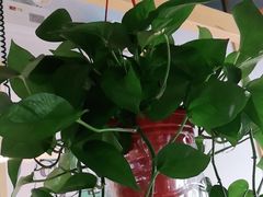 -老乡鸡(联家超市北辰天都店)