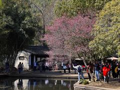 -兰亭风景区
