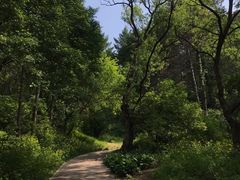 -萨尔浒风景区