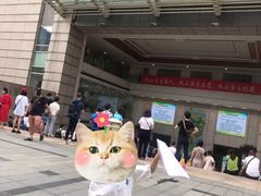 -中国福利会少年宫