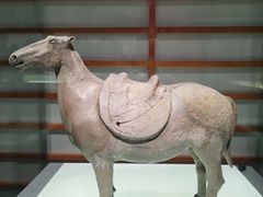 -南京博物院