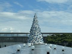 -柏悦酒店-沁园牛排海鲜西餐厅