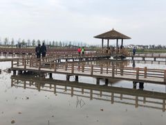 -漩门湾国家湿地公园