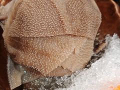 -湊湊火锅·茶憩(皇姑万象汇店)