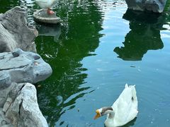 -龙华寺