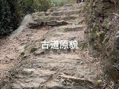 -羚羊峡古栈道森林公园
