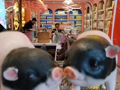 -小猪找肉肉脯干(鼓浪屿店)