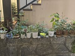 -云隐小厨·传统大理美食(复兴路店)