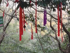 -灵顺寺