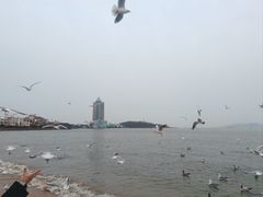 -青岛第一海水浴场