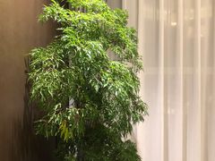 -广州酒家(中华广场店)