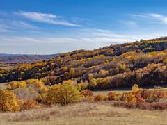 -塞罕坝国家级自然保护区