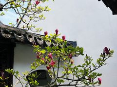 -上海醉白池公园