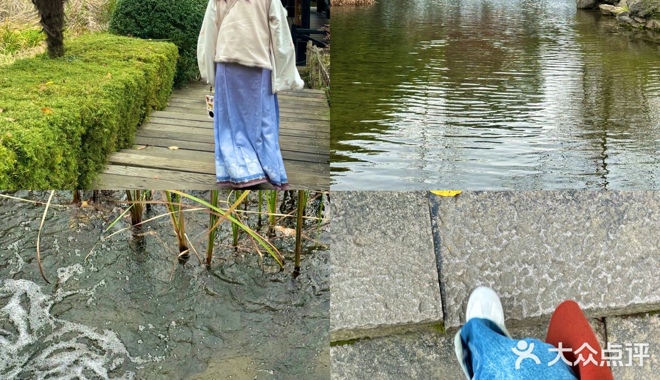 在杭州！！！在杨公堤！！！！[流泪][流泪][流泪]
