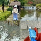 在杭州！！！在杨公堤！！！！[流泪][流泪][流泪]