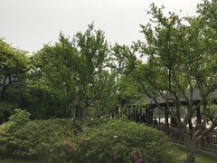 -东园小馆·早茶·淮扬小炒(宋夹城店)