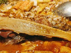 -探鱼·鲜青椒爽麻烤鱼(广州花都来又来店)