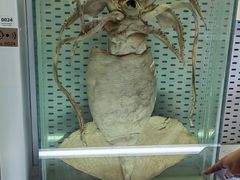 -浙江自然博物院(杭州馆)