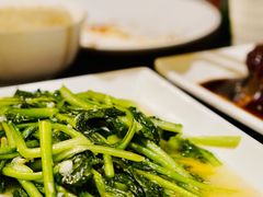 炒青菜-福苗小骆驼烧烤(大唐不夜城店)