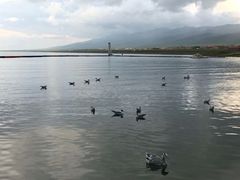 -青海湖国家重点风景名胜区