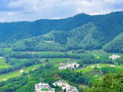-大屏嶂森林公园