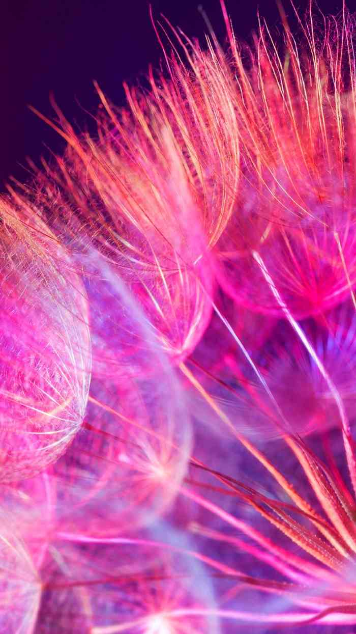 doctype html> html lang="zh-cn"> head> meta charset="utf-8"/> 