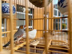 -蒙蒙狮蒙台梭利儿童之家