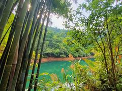 -鼎湖山风景区