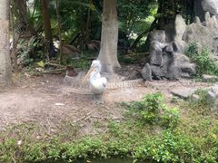 -深圳野生动物园