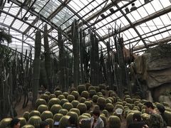 -南山植物园
