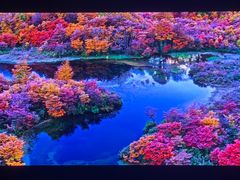 -罗红摄影艺术馆