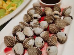 血蛤-华盛丰温州大排档(东三环南路店)