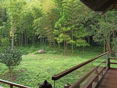 -兰亭风景区
