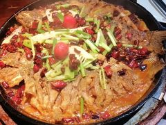 -老板恋上鱼(高新万达店)