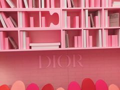 -Dior迪奥(上海世茂广场店)