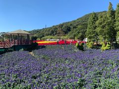 -广州市石门国家森林公园