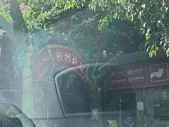 -瑞丽独树成林风景区