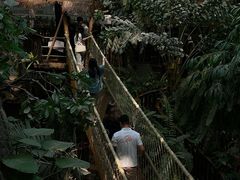 -正佳雨林生态植物园