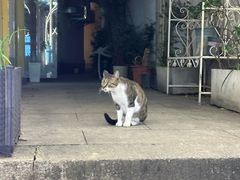 -衣裳街历史文化街区