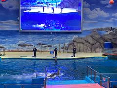 -福州罗源湾海洋世界旅游区