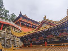 -东莞市大岭山森林公园