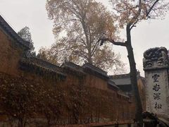 -灵谷景区