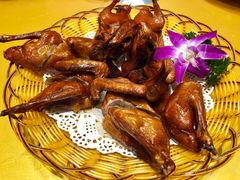 红烧乳鸽-百年恒益烧腊海鲜酒家·非遗传承(广州黄埔店)