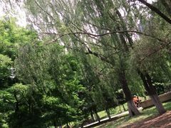 -长白岛森林公园