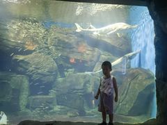 -石家庄海洋公园