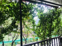 -终南山国家森林公园