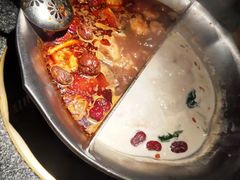 -湊湊火锅·茶憩(郑州绿地新都会店)